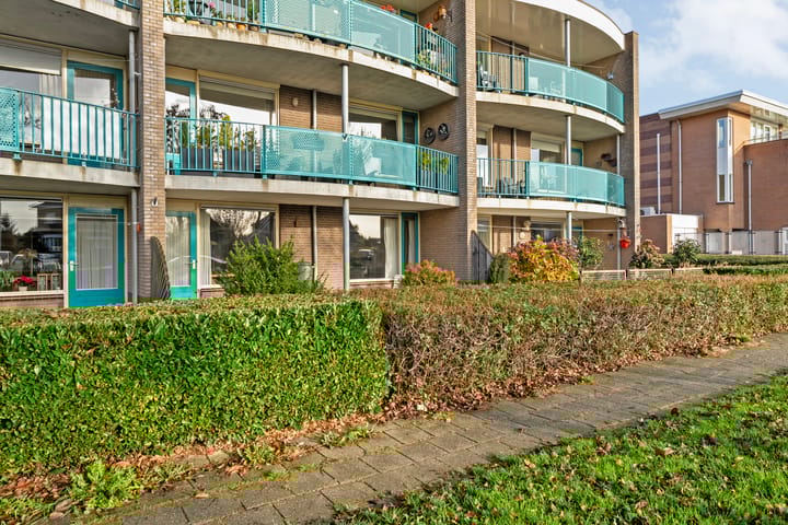 Photo 38 of Vivaldi 13