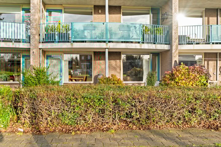 Photo 39 of Vivaldi 13