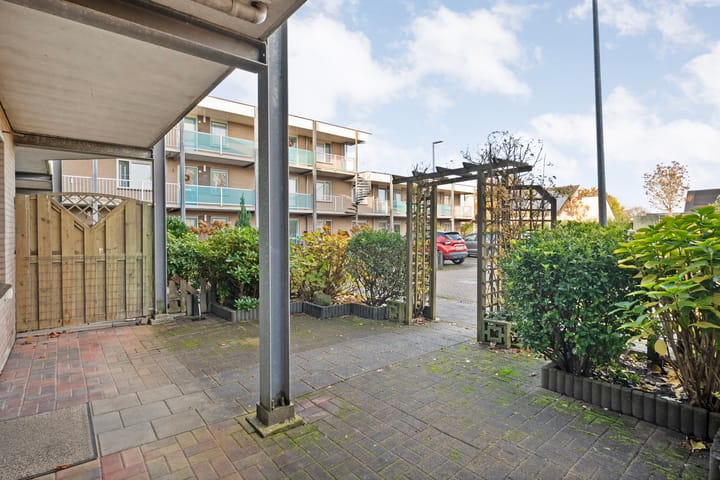 Photo 42 of Vivaldi 13