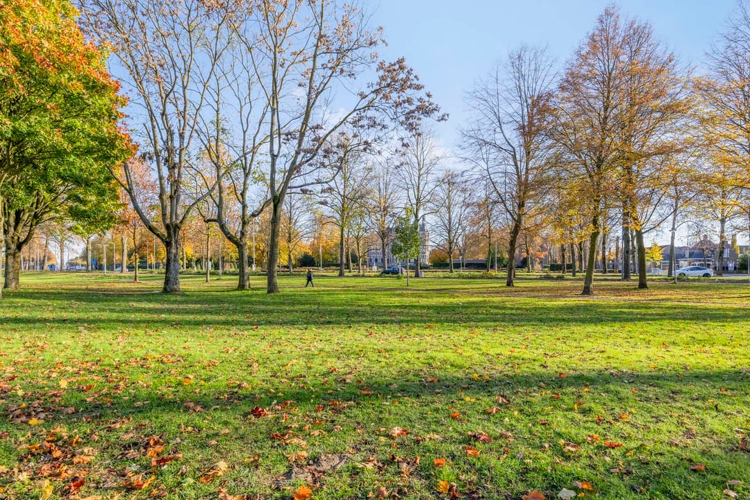 Foto 43 van van Wassenhovestraat 25