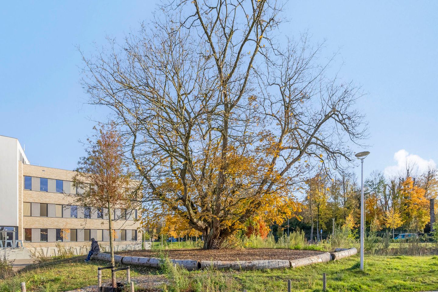 Foto 44 van van Wassenhovestraat 25