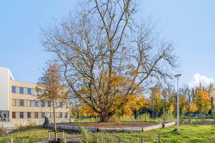 Photo 44 of van Wassenhovestraat 25