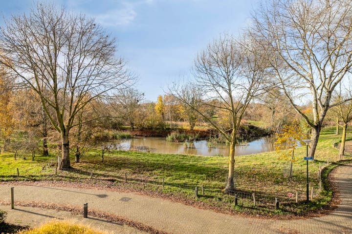 Photo 2 of Lobroec 16