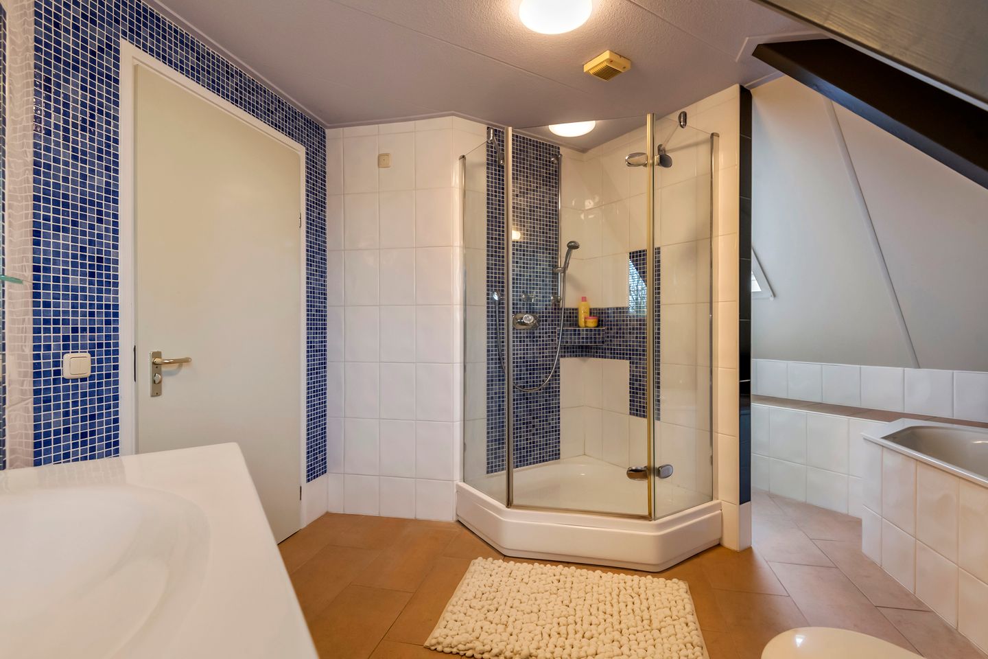 Foto 55 van Prof. P.H. Buismanlaan 30