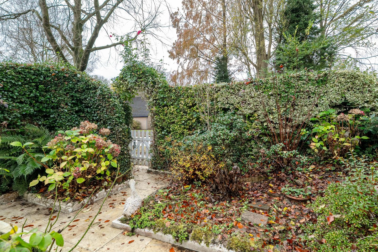 Foto 55 van Agricolahof 14