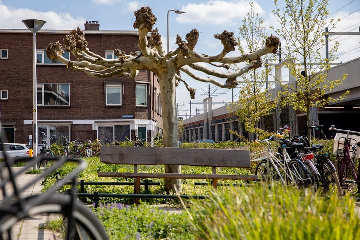 Photo 31 of Albatrosstraat 53