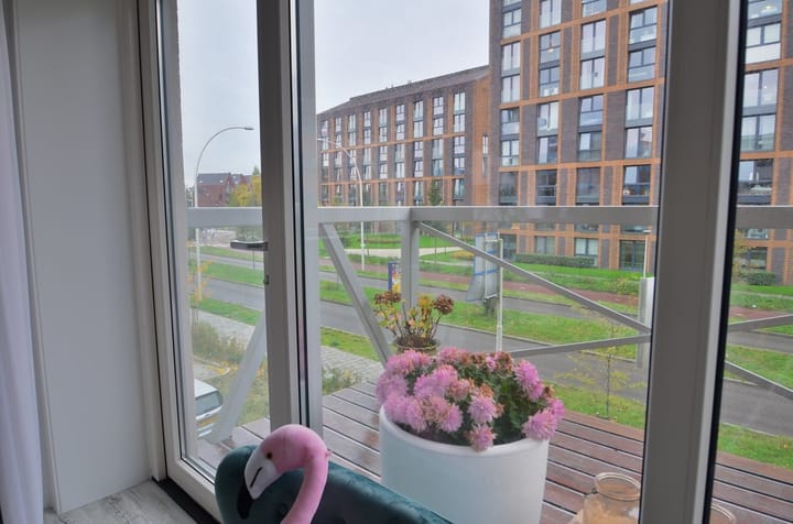 Foto 3 van Govert Flinckstraat 13-C