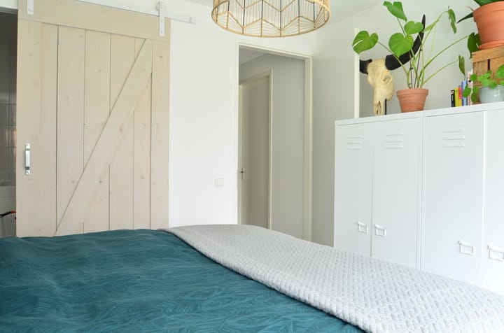 Foto 10 van Govert Flinckstraat 13-C