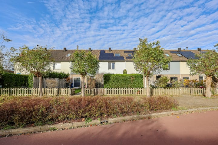 Mastgatpad 39 main image