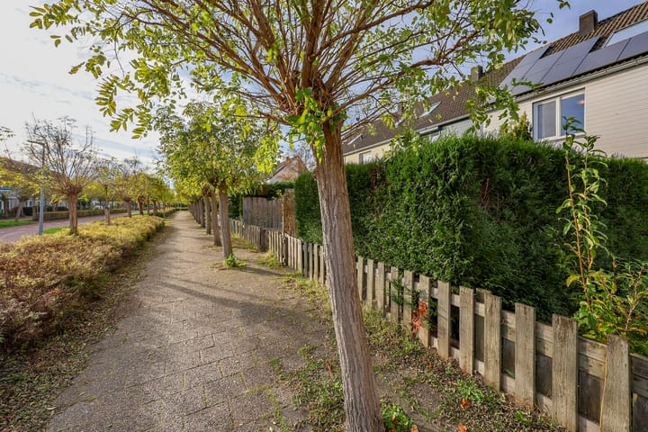 Photo 46 of Mastgatpad 39