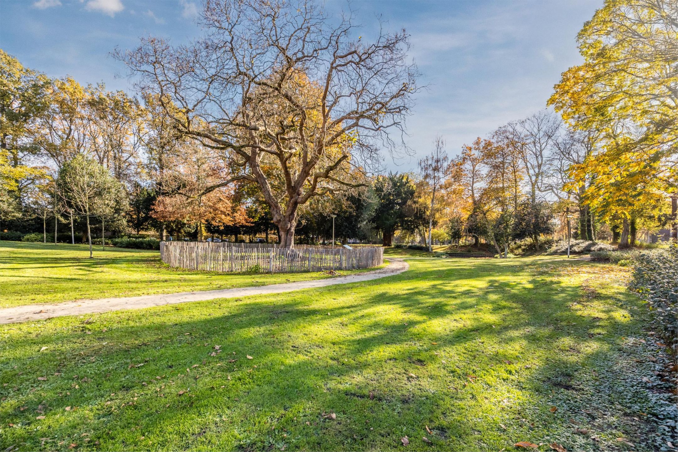 Photo 33 of Fortuinstraat 2-J