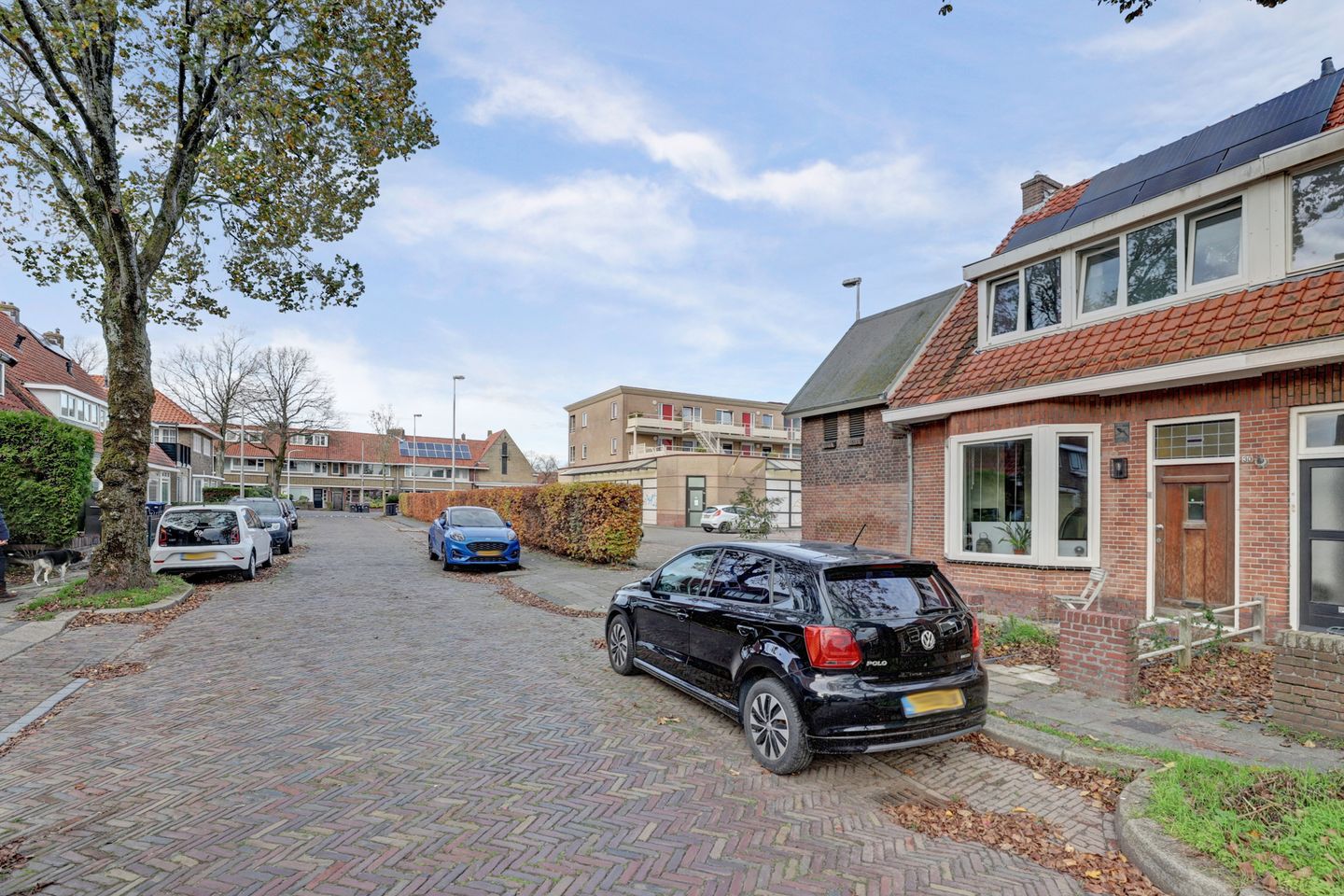 Foto 29 van Eksterstraat 30