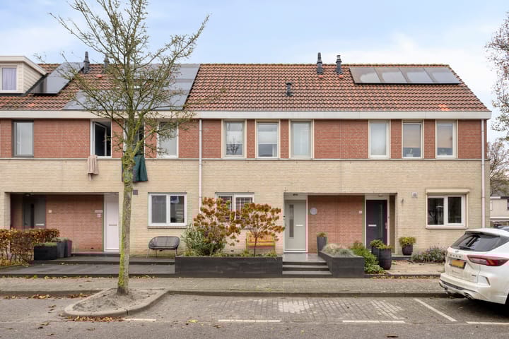 Meerkoet 22 main image