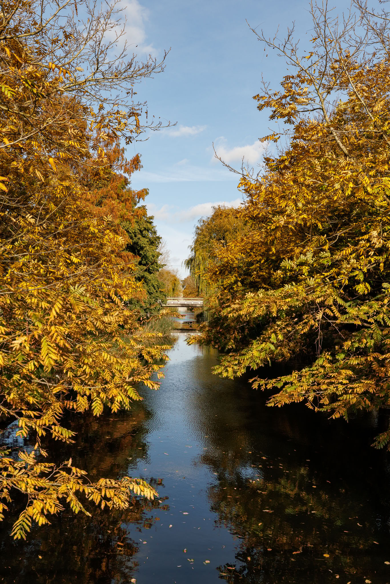 Foto 34 van Annie M.G. Schmidtweg 1