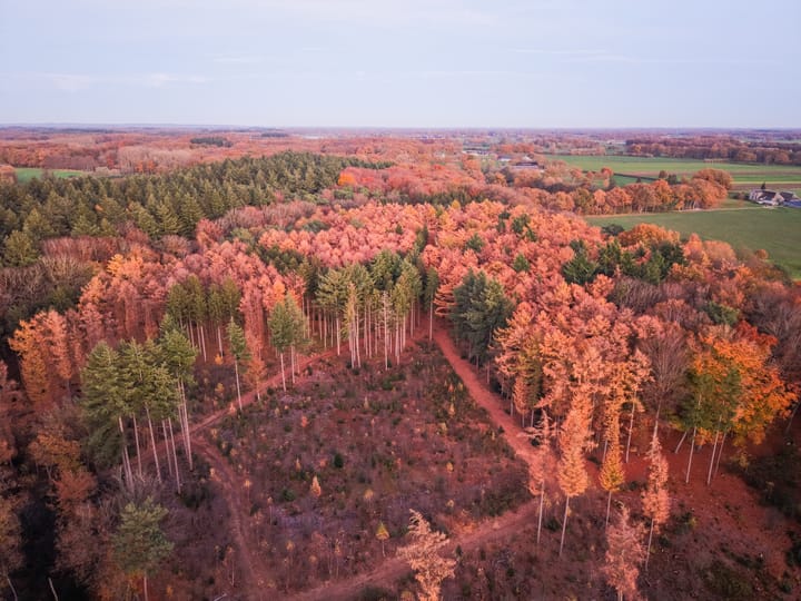 Foto 52 van De Hulle 1