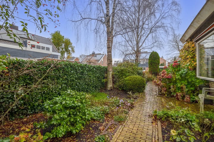 Photo 32 of Aldebaran 24