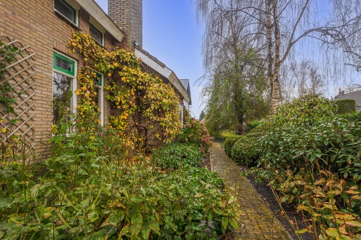 Photo 33 of Aldebaran 24