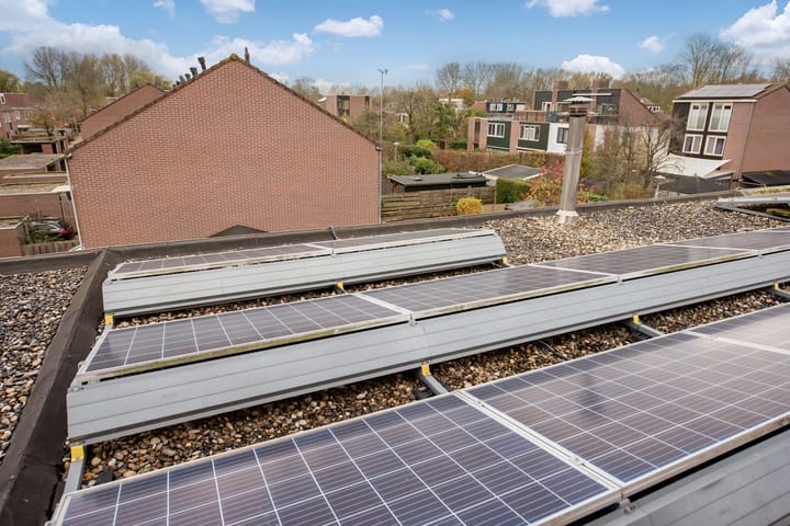 Photo 35 of César Franckrode 61