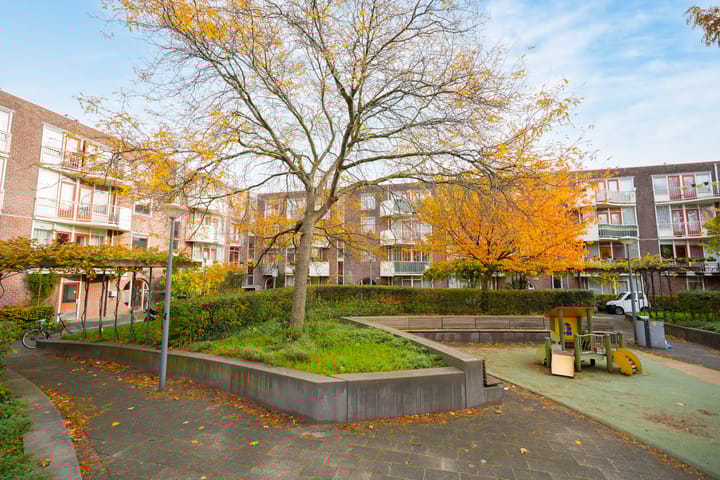 Photo 15 of Boniplein 10