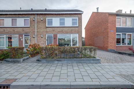 undefined main image