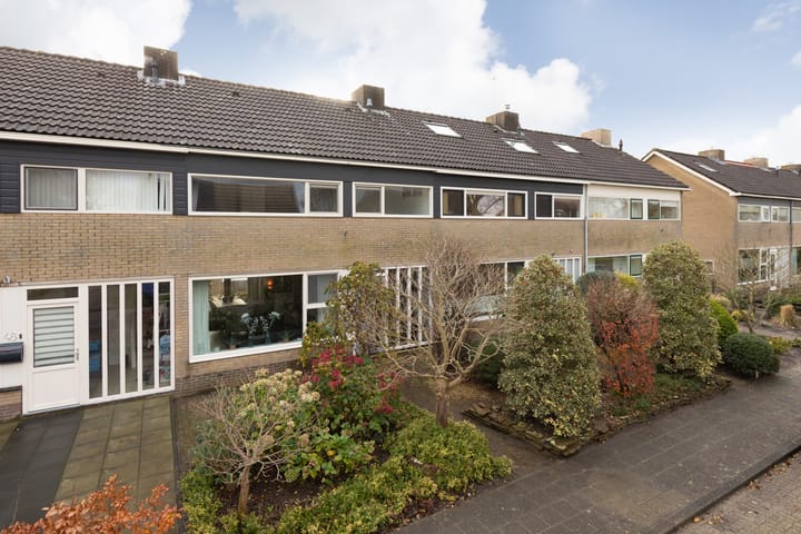 Foto 2 van Ylostinslaan 50