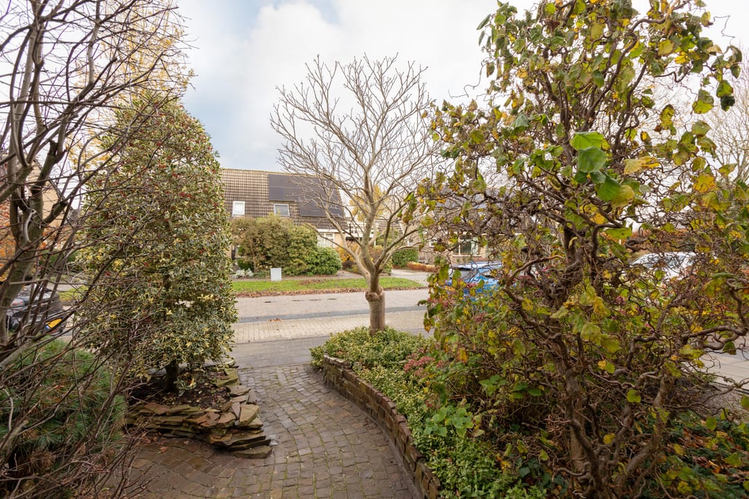 Foto 41 van Ylostinslaan 50