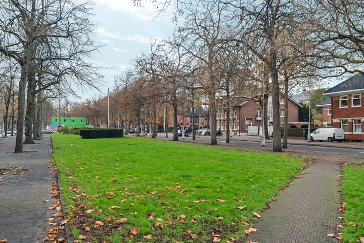 Photo 29 of Apollolaan 67-1