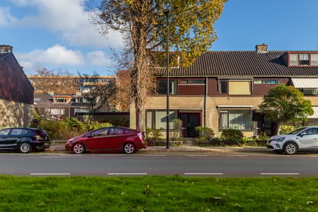 undefined main image