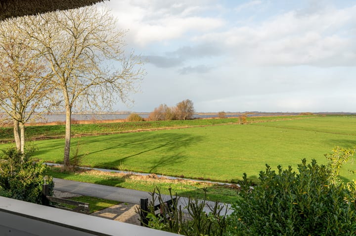 Foto 24 van It String 55