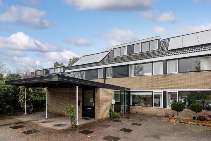 Foto 2 van Koolzaadland 9