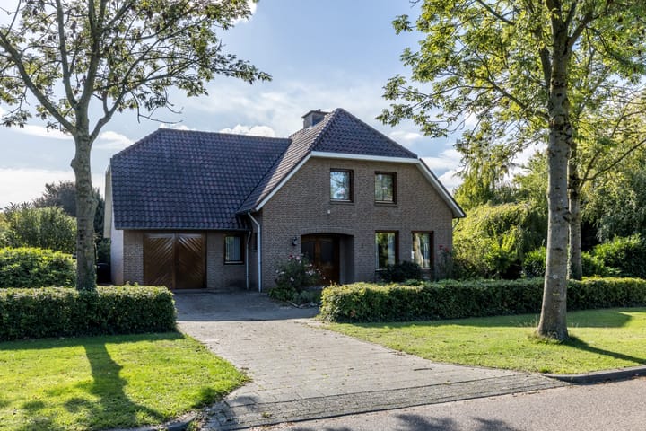 Photo 2 of Exelsboom 2