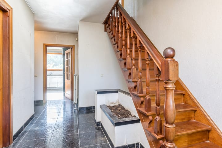 Photo 4 of Exelsboom 2