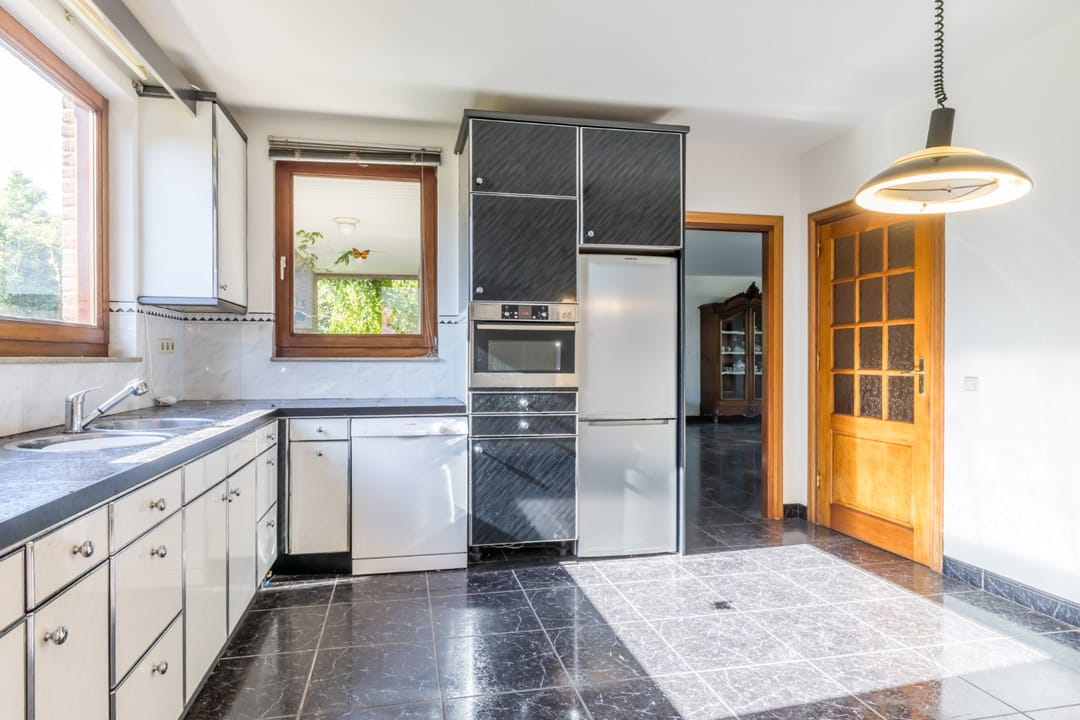 Photo 16 of Exelsboom 2