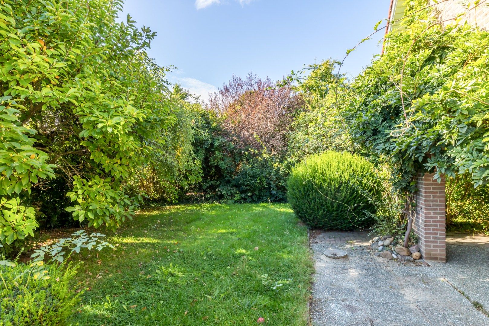 Photo 18 of Exelsboom 2