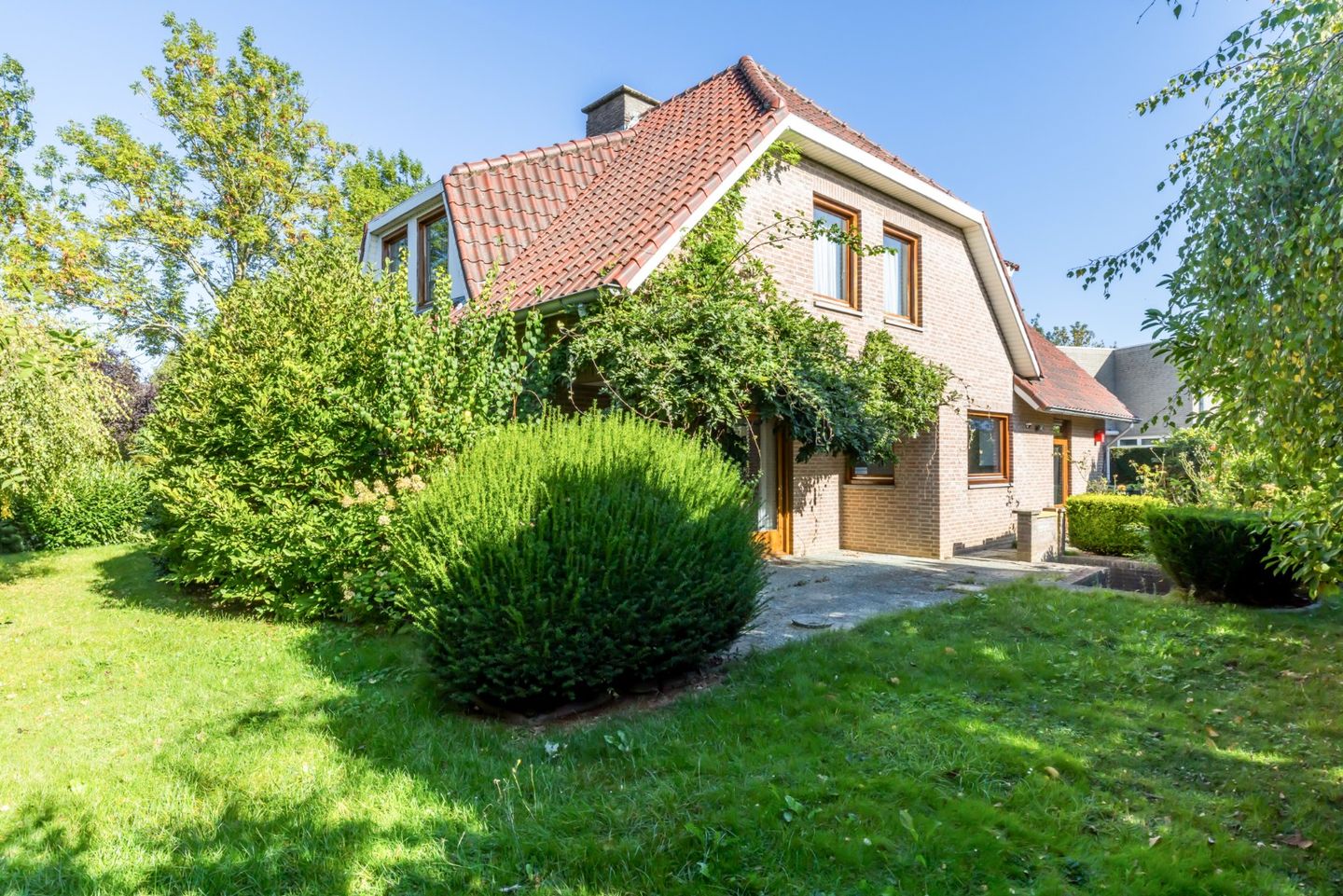 Photo 19 of Exelsboom 2