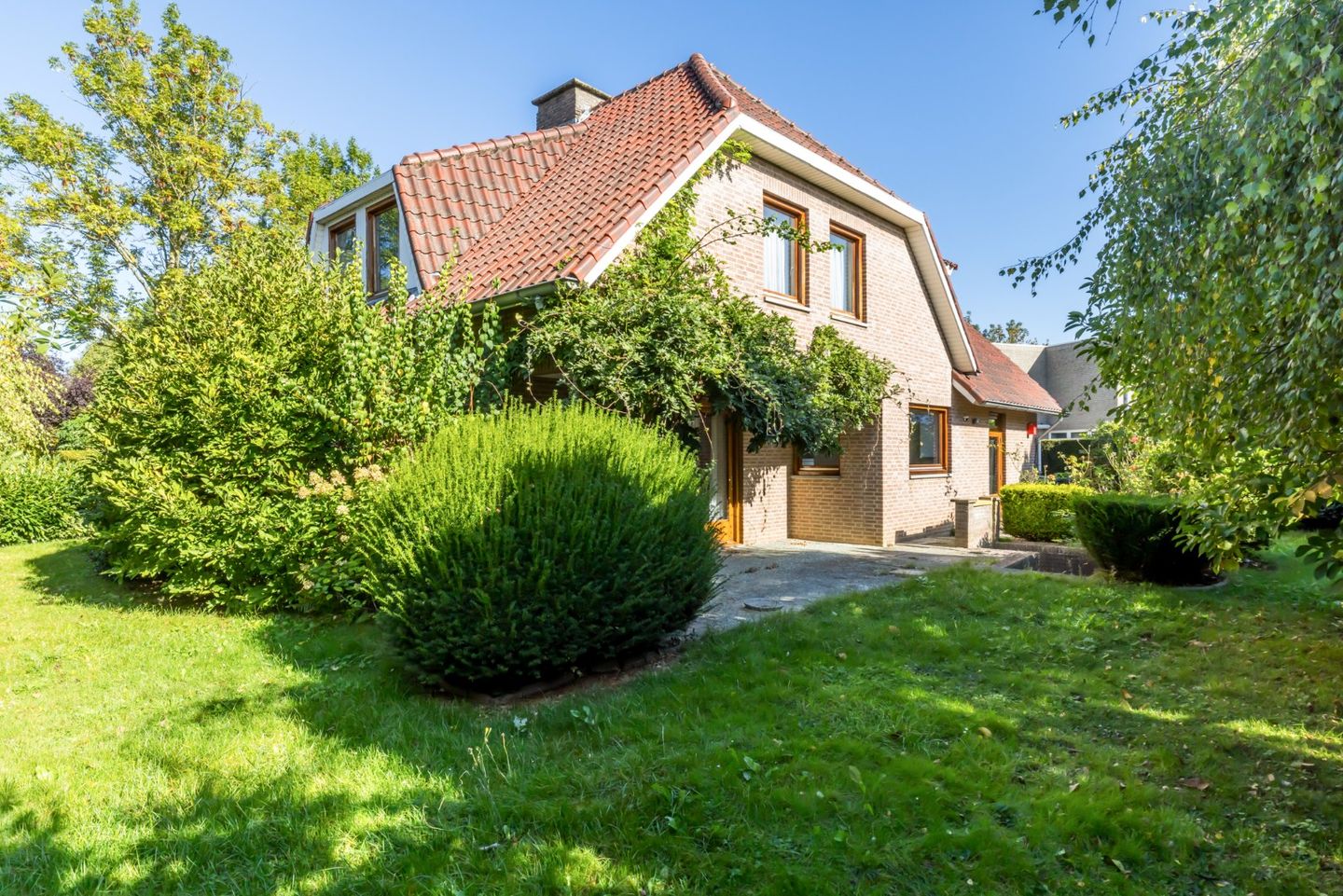 Photo 20 of Exelsboom 2