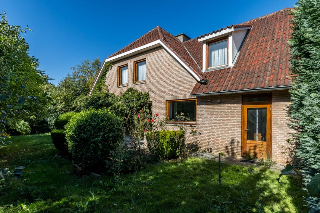 Photo 23 of Exelsboom 2