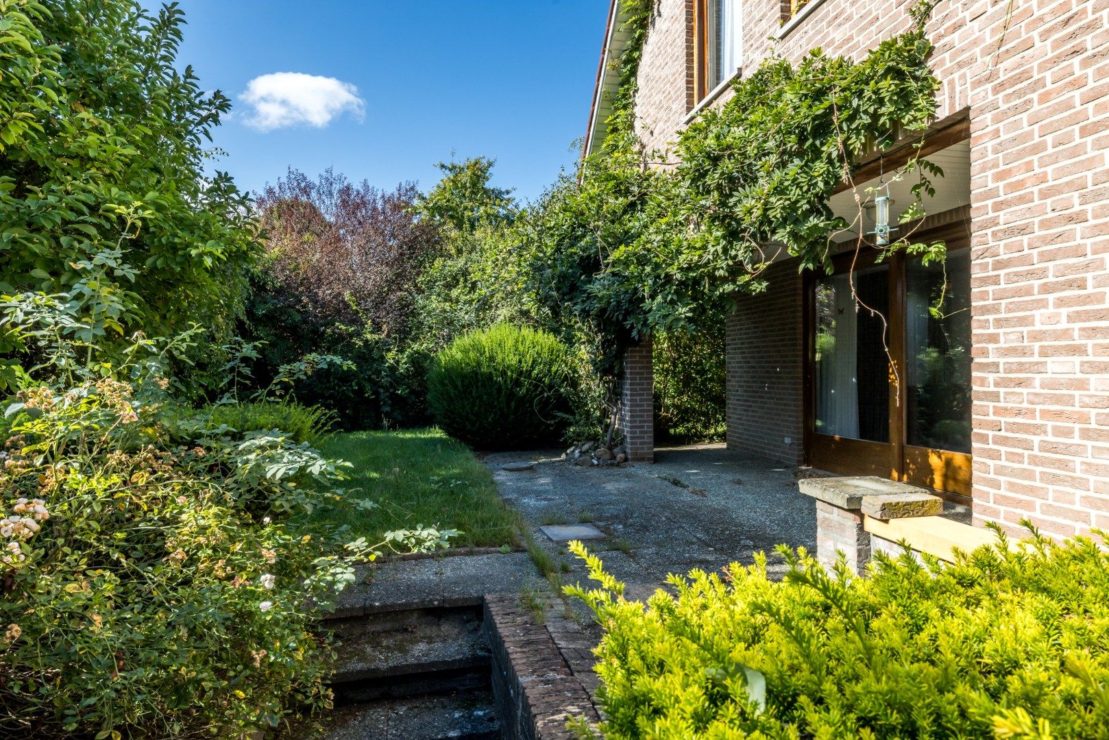 Photo 24 of Exelsboom 2