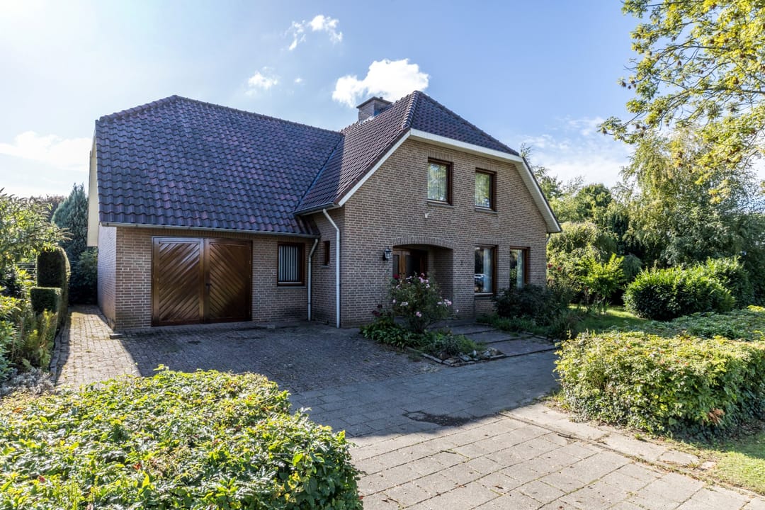 Photo 38 of Exelsboom 2