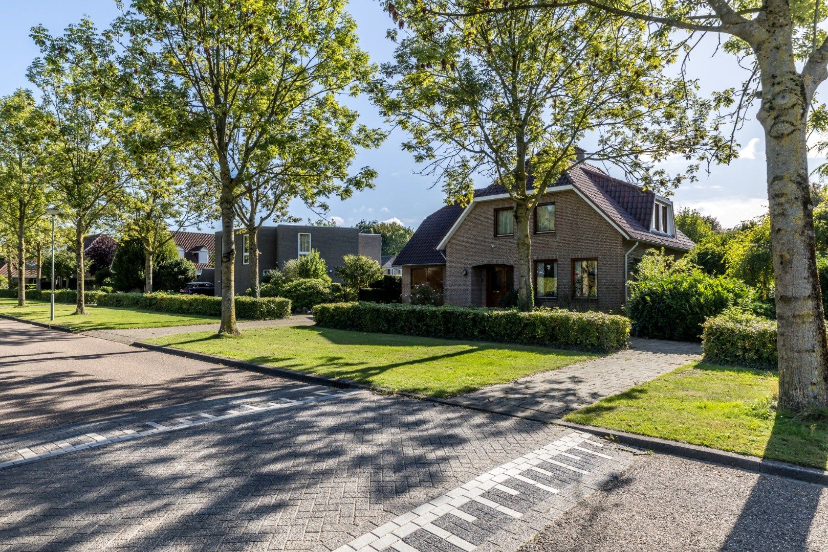 Photo 39 of Exelsboom 2