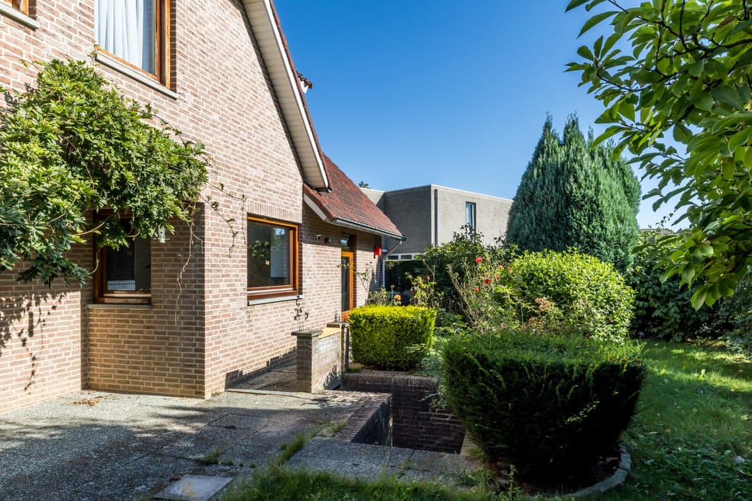 Photo 22 of Exelsboom 2