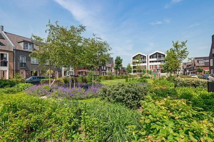 Photo 35 of Loshaven 17