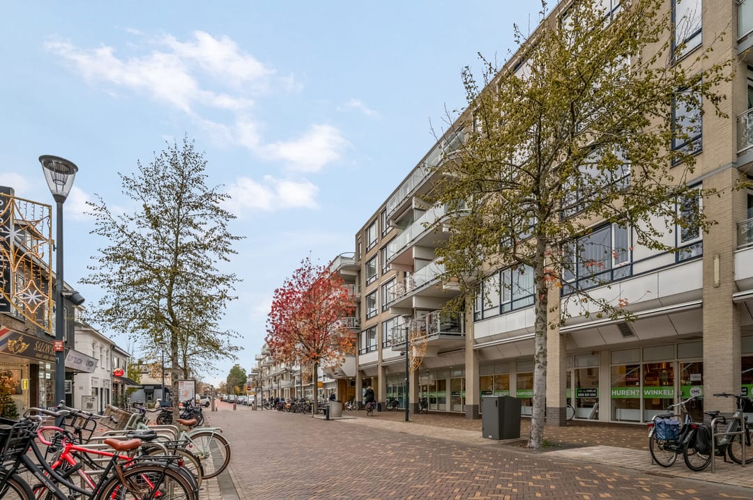 Photo 7 of Scheepjeshof 117