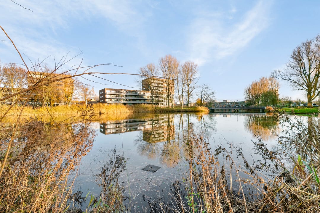 Foto 38 van Grubbehoeve 425