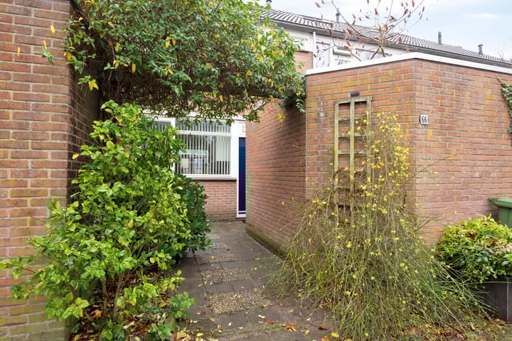 Foto 5 van Tarthorst 66