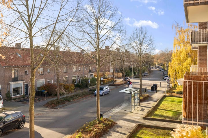 Photo 21 of Joost van den Vondellaan 4