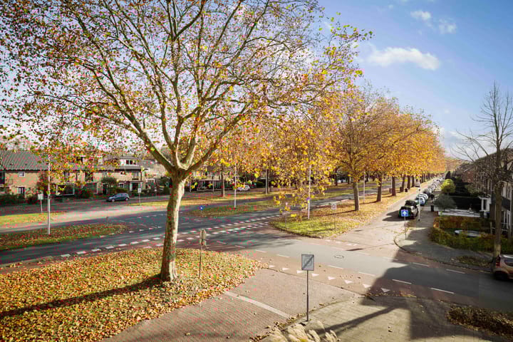 Photo 22 of Joost van den Vondellaan 4