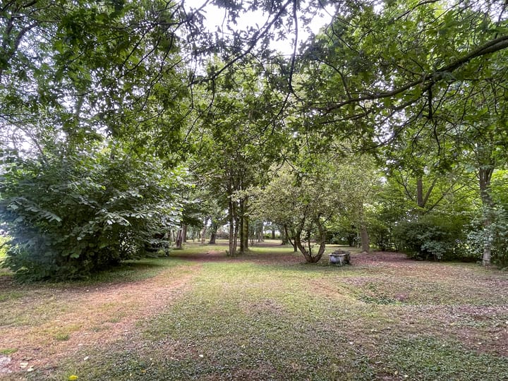 Photo 31 of Dorpsstraat 86-B