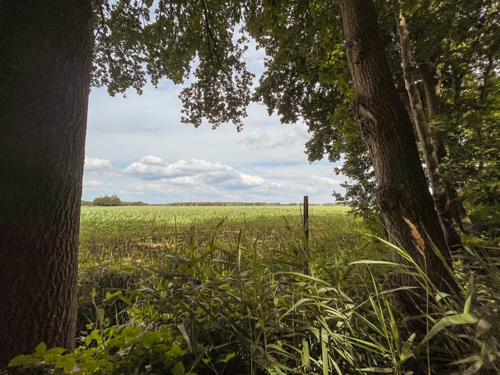 Photo 33 of Dorpsstraat 86-B