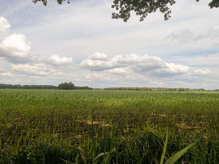 Photo 34 of Dorpsstraat 86-B